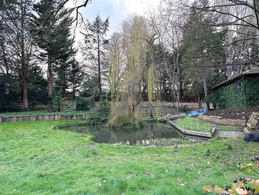 Forest Studio Apt Free Gated Parking On 2 Acres Garden Chislehurst Exterior photo
