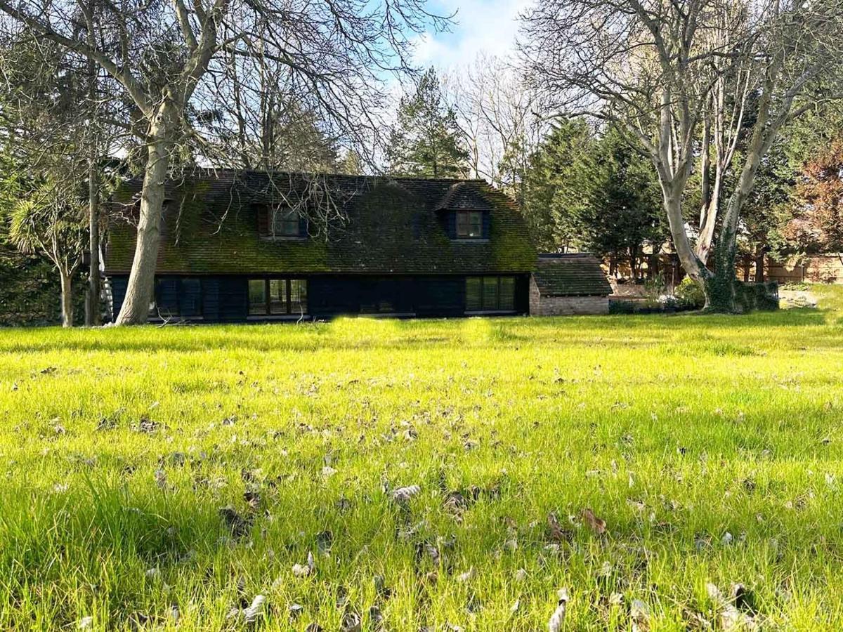 Forest Studio Apt Free Gated Parking On 2 Acres Garden Chislehurst Exterior photo